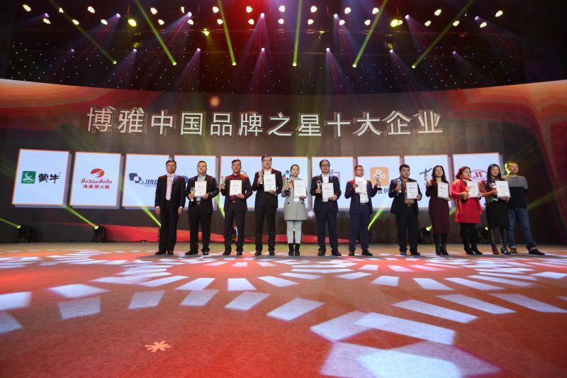金瑪硼業集團喜獲“中國品牌之星100強企業”