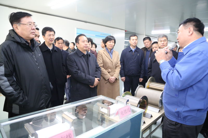 開封市四大班子領(lǐng)導(dǎo)到易成新能觀摩調(diào)研