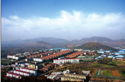 做實做強“硬核”產(chǎn)業(yè) 打造全球“鉆石之都”